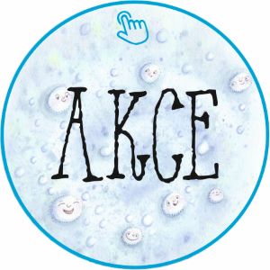 VE Akce 300
